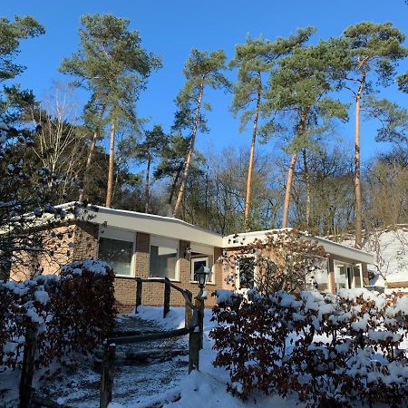 Het Fazantenbosje Villa Dalfsen Dış mekan fotoğraf