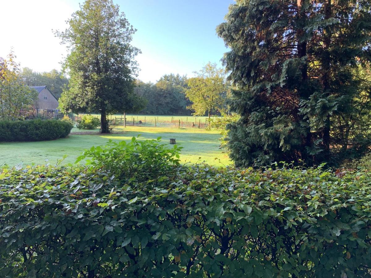 Het Fazantenbosje Villa Dalfsen Dış mekan fotoğraf