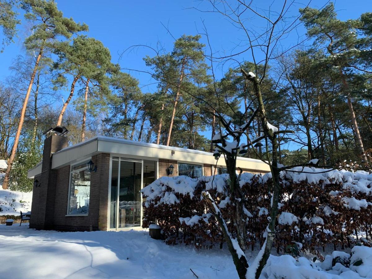 Het Fazantenbosje Villa Dalfsen Dış mekan fotoğraf